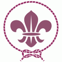 Scouts