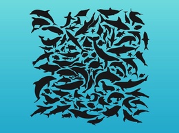 Animals - Sea Animals Pattern 