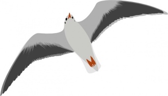 Sea Gull Seagull clip art 