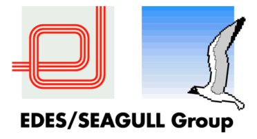 Seagull Group 