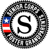Senior Corps Seal Vector Preview