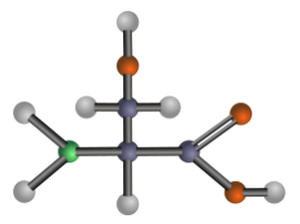 Serine (amino acid)