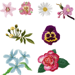 Set Of Vector Flowers 