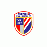 Football - shanghai shenhua FC 