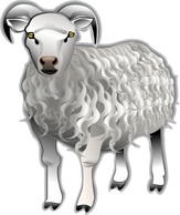 Animals - Sheep Md V clip art 