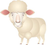 Animals - Sheep vector 3 