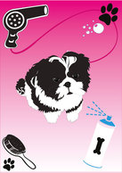 Animals - Shih Tzu Puppy Vector 