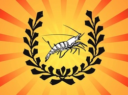 Shrimp Logo Preview