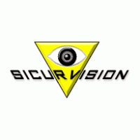 Electronics - Sicurvision 