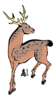 Sika Deer