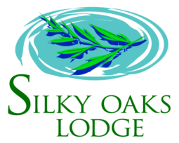 Silky Oaks Lodge 