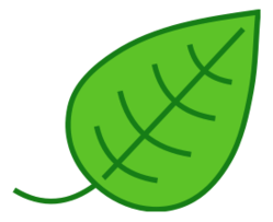 Simple leaf