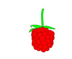 Food - Simple Raspberry 