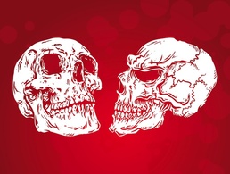 Simple Skulls Vector 