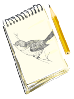 Animals - Sketchpad, with drawing of a bird 