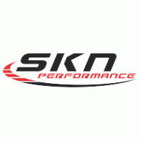 Auto - SKN Performance 