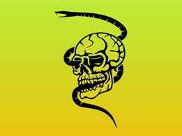 Skull and Snake Graphics 