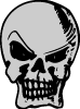 Skull Free Vector 4 