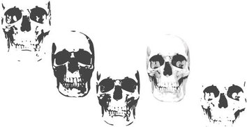 Miscellaneous - Skull free vector 