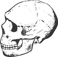 Skull Grayscale clip art