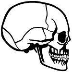 Objects - Skull Profile Vector 