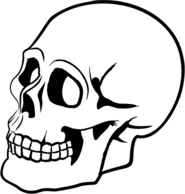 Skull Vector Preview