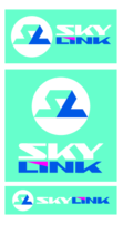 Sky Link 