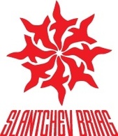 Slantchev Briag logo Preview