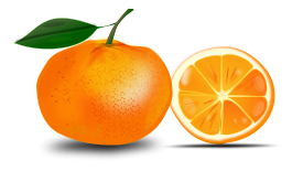 Slice Of An Orange Preview