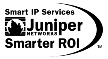 Smart Ip Services Smarter Roi 