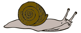 Snail