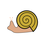 Snail