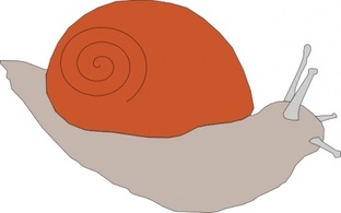 Snail clip art