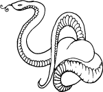 Snake Free Vector 