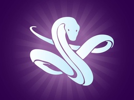 Animals - Snake Vector 