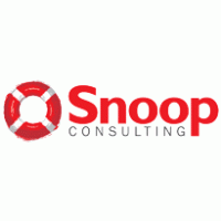 Snoop Consulting Preview