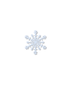 Nature - Snow Flake 