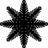 Snowflake 