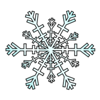 Nature - Snowflake 