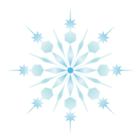 Nature - Snowflake 