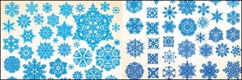 Nature - Snowflake vector 