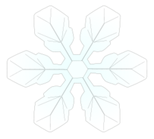 Snowflake1