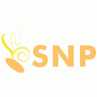 SNP-Soluciones Nuevas Posibilidades- Preview