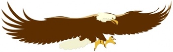 Soaring Eagle clip art Preview