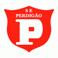 Sociedade Esportiva Perdigao de Videira-SC Preview