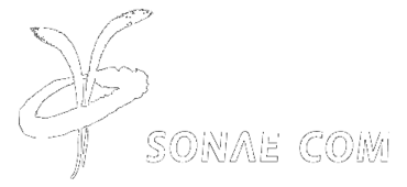 Sonae Com Preview