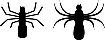 Animals - Spider clip art 