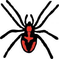 Animals - Spider clip art 