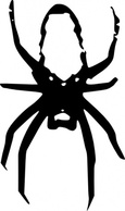 Animals - Spider clip art 