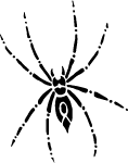 Spider Insect Vector 